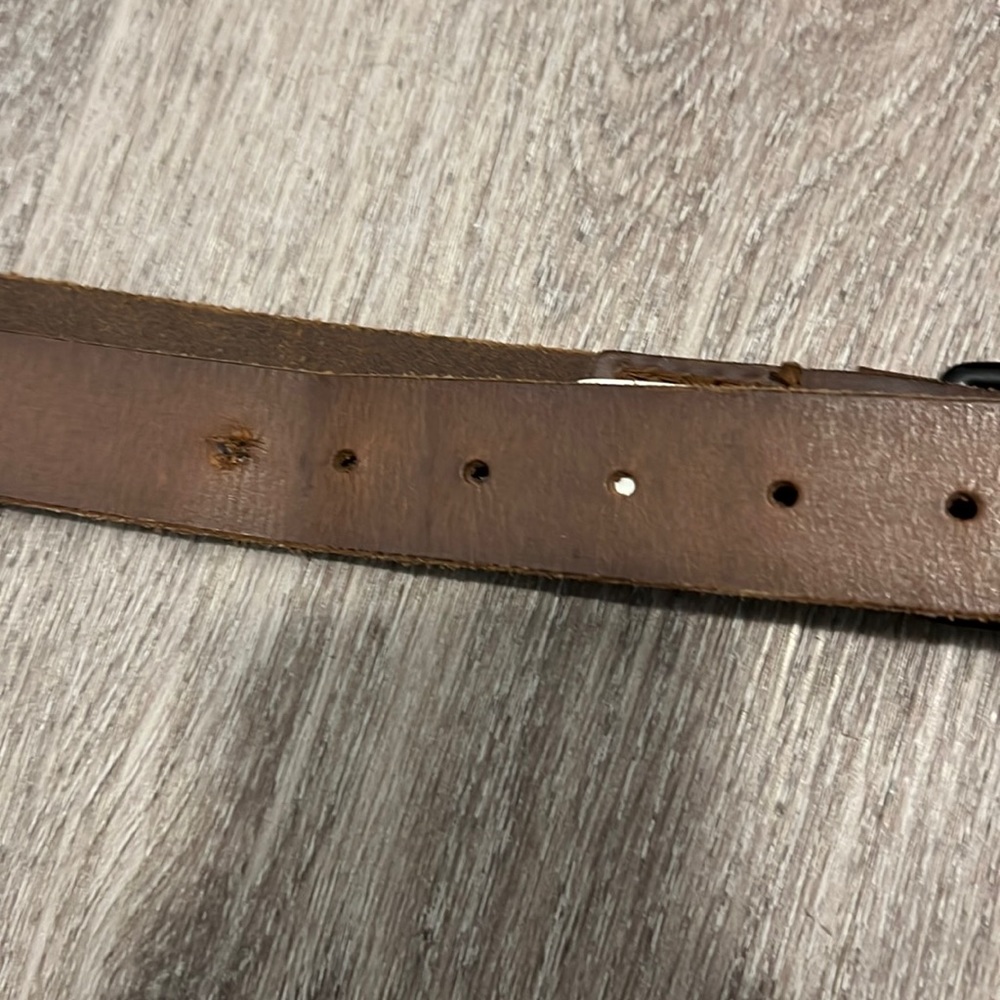 Brown Unisex American Eagle Belt